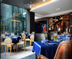 Dynamic-ELEGANTOLOGY GALLERY 1